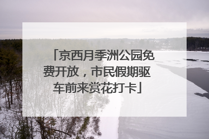 京西月季洲公园免费开放，市民假期驱车前来赏花打卡