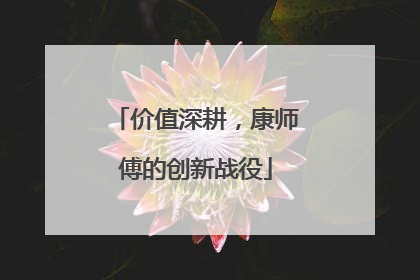 价值深耕，康师傅的创新战役