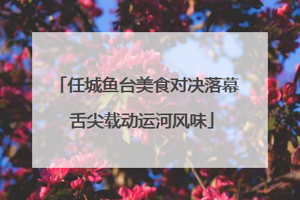 任城鱼台美食对决落幕 舌尖载动运河风味