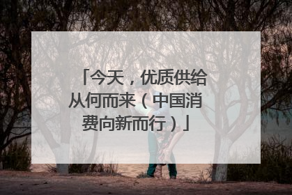 今天，优质供给从何而来（中国消费向新而行）