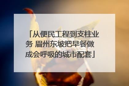 从便民工程到支柱业务 眉州东坡把早餐做成会呼吸的城市配套