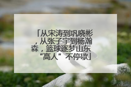 从宋涛到巩晓彬，从张子宇到杨瀚森，篮球逐梦山东“高人”不停歇