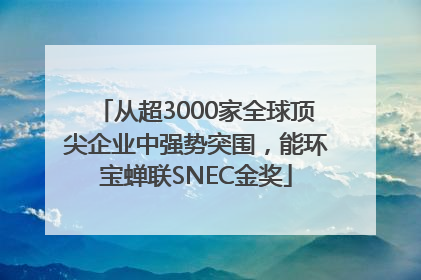 从超3000家全球顶尖企业中强势突围，能环宝蝉联SNEC金奖