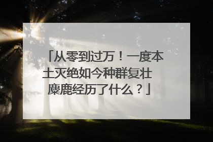 从零到过万！一度本土灭绝如今种群复壮 麋鹿经历了什么？