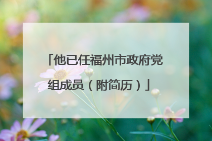 他已任福州市政府党组成员（附简历）
