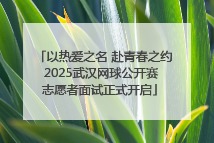 以热爱之名 赴青春之约 2025武汉网球公开赛志愿者面试正式开启