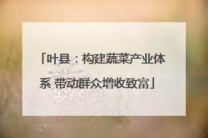 叶县：构建蔬菜产业体系 带动群众增收致富