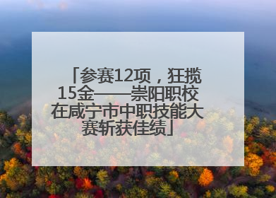 参赛12项，狂揽15金——崇阳职校在咸宁市中职技能大赛斩获佳绩