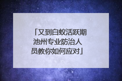 又到白蚁活跃期 池州专业防治人员教你如何应对