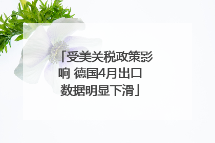 受美关税政策影响 德国4月出口数据明显下滑