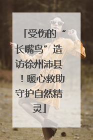 受伤的“长嘴鸟”造访徐州沛县！暖心救助守护自然精灵