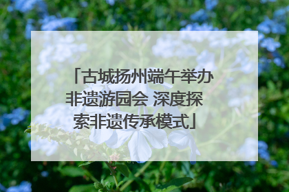 古城扬州端午举办非遗游园会 深度探索非遗传承模式