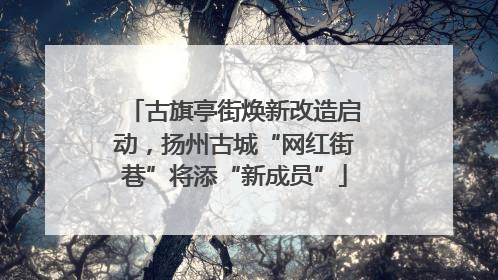 古旗亭街焕新改造启动，扬州古城“网红街巷”将添“新成员”