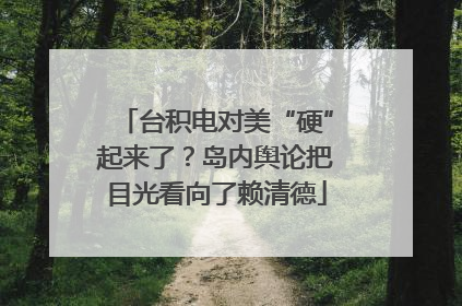 台积电对美“硬”起来了？岛内舆论把目光看向了赖清德