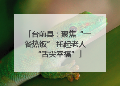 台前县：聚焦“一餐热饭” 托起老人“舌尖幸福”
