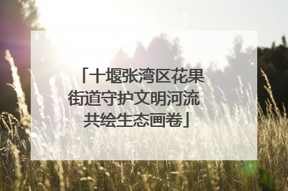 十堰张湾区花果街道守护文明河流 共绘生态画卷