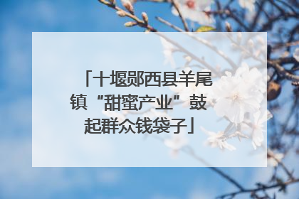 十堰郧西县羊尾镇“甜蜜产业”鼓起群众钱袋子