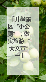 升级景区“小公厕”，做实旅游“大文章”→