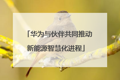 华为与伙伴共同推动新能源智慧化进程