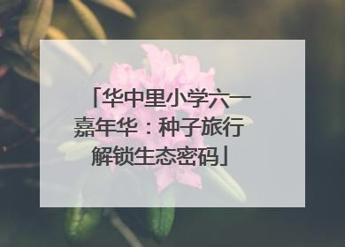 华中里小学六一嘉年华：种子旅行解锁生态密码