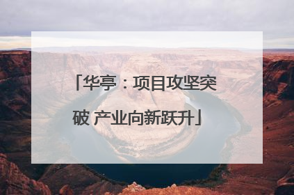华亭：项目攻坚突破 产业向新跃升