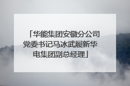 华能集团安徽分公司党委书记马冰武履新华电集团副总经理