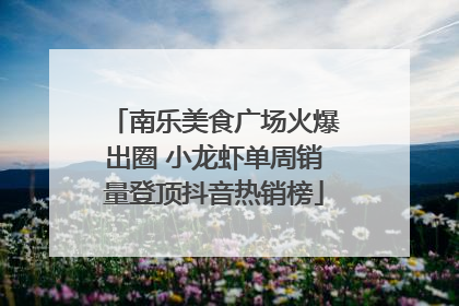 南乐美食广场火爆出圈 小龙虾单周销量登顶抖音热销榜