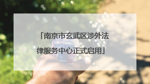 南京市玄武区涉外法律服务中心正式启用