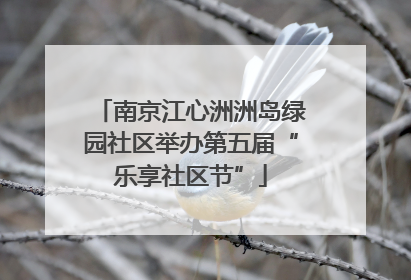 南京江心洲洲岛绿园社区举办第五届“乐享社区节”