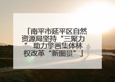 南平市延平区自然资源局坚持“三聚力” 助力擎画集体林权改革“新图景”