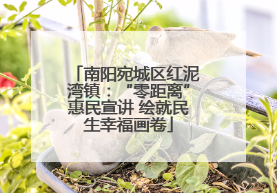 南阳宛城区红泥湾镇：“零距离”惠民宣讲 绘就民生幸福画卷