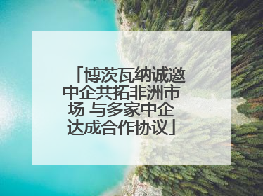 博茨瓦纳诚邀中企共拓非洲市场 与多家中企达成合作协议