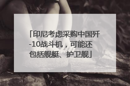 印尼考虑采购中国歼-10战斗机，可能还包括舰艇、护卫舰