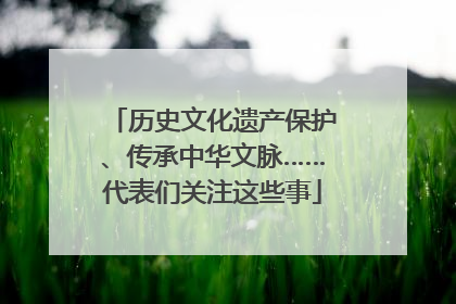 历史文化遗产保护、传承中华文脉……代表们关注这些事
