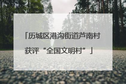 历城区港沟街道芦南村获评“全国文明村”