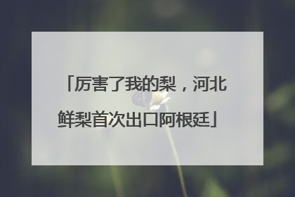厉害了我的梨，河北鲜梨首次出口阿根廷