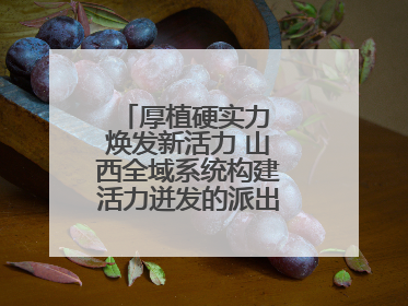厚植硬实力 焕发新活力 山西全域系统构建活力迸发的派出所工作新生态