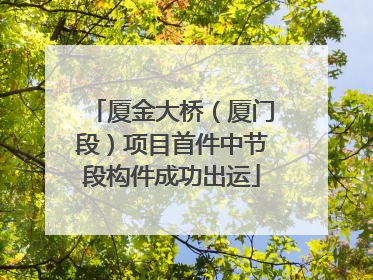 厦金大桥（厦门段）项目首件中节段构件成功出运