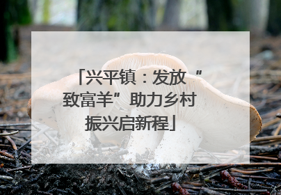 兴平镇：发放“致富羊”助力乡村振兴启新程