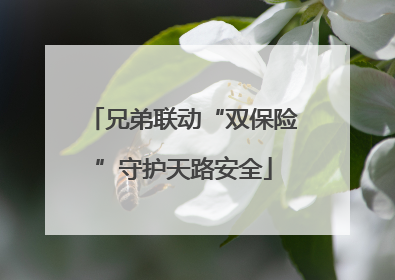兄弟联动“双保险”守护天路安全