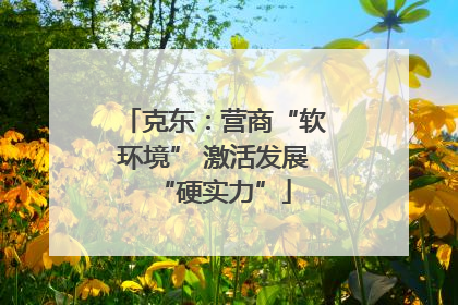 克东：营商“软环境” 激活发展“硬实力”