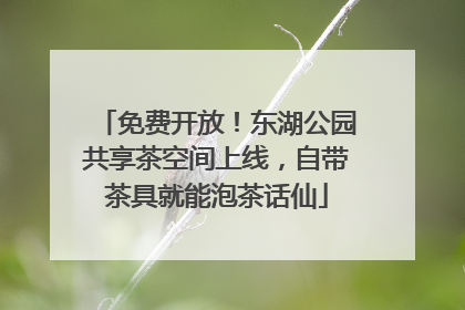 免费开放！东湖公园共享茶空间上线，自带茶具就能泡茶话仙