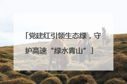 党建红引领生态绿，守护高速“绿水青山”