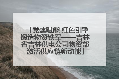 党建赋能 红色引擎锻造物资铁军——吉林省吉林供电公司物资部激活供应链新动能