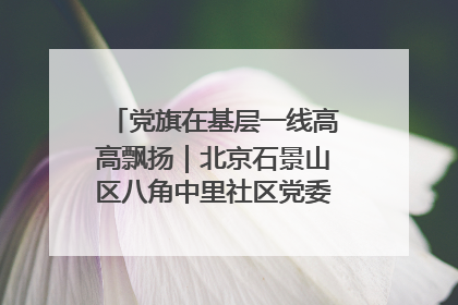 党旗在基层一线高高飘扬｜北京石景山区八角中里社区党委：用脚步丈量民生