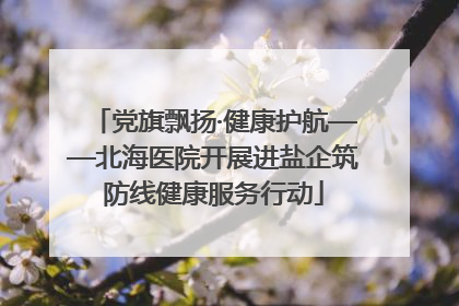 党旗飘扬·健康护航——北海医院开展进盐企筑防线健康服务行动