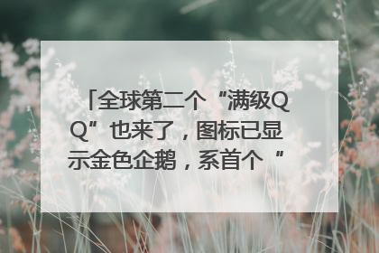 全球第二个“满级QQ”也来了，图标已显示金色企鹅，系首个“满级QQ”的小号