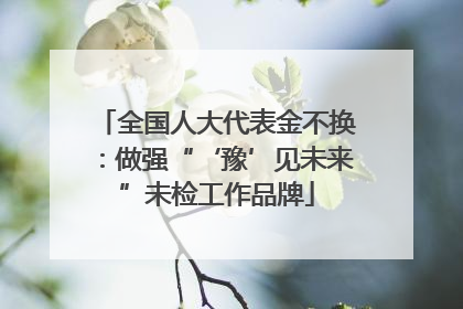 全国人大代表金不换：做强“‘豫’见未来”未检工作品牌