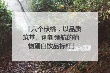 六个核桃：以品质筑基、创新领航的植物蛋白饮品标杆