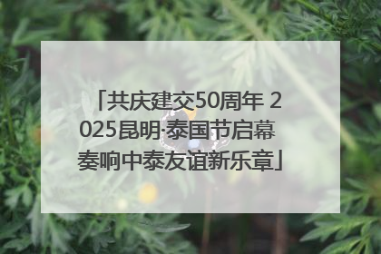 共庆建交50周年 2025昆明·泰国节启幕 奏响中泰友谊新乐章